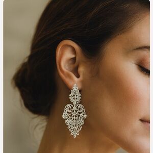 Fashion earnings in Silver tone